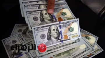 قفزة جديدة.. سعر الدولار اليوم يخالف التوقعات ويسجل مستوى قياسيًا أمام الجنيه 1